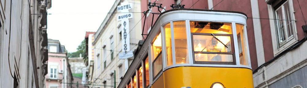 インドラの網（仮）